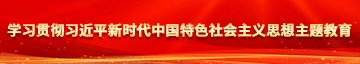 大鸡巴擦入女人屄的视频在线看学习贯彻习近平新时代中国特色社会主义思想主题教育