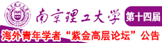 啊啊啊插逼视频南京理工大学第十四届海外青年学者紫金论坛诚邀海内外英才！